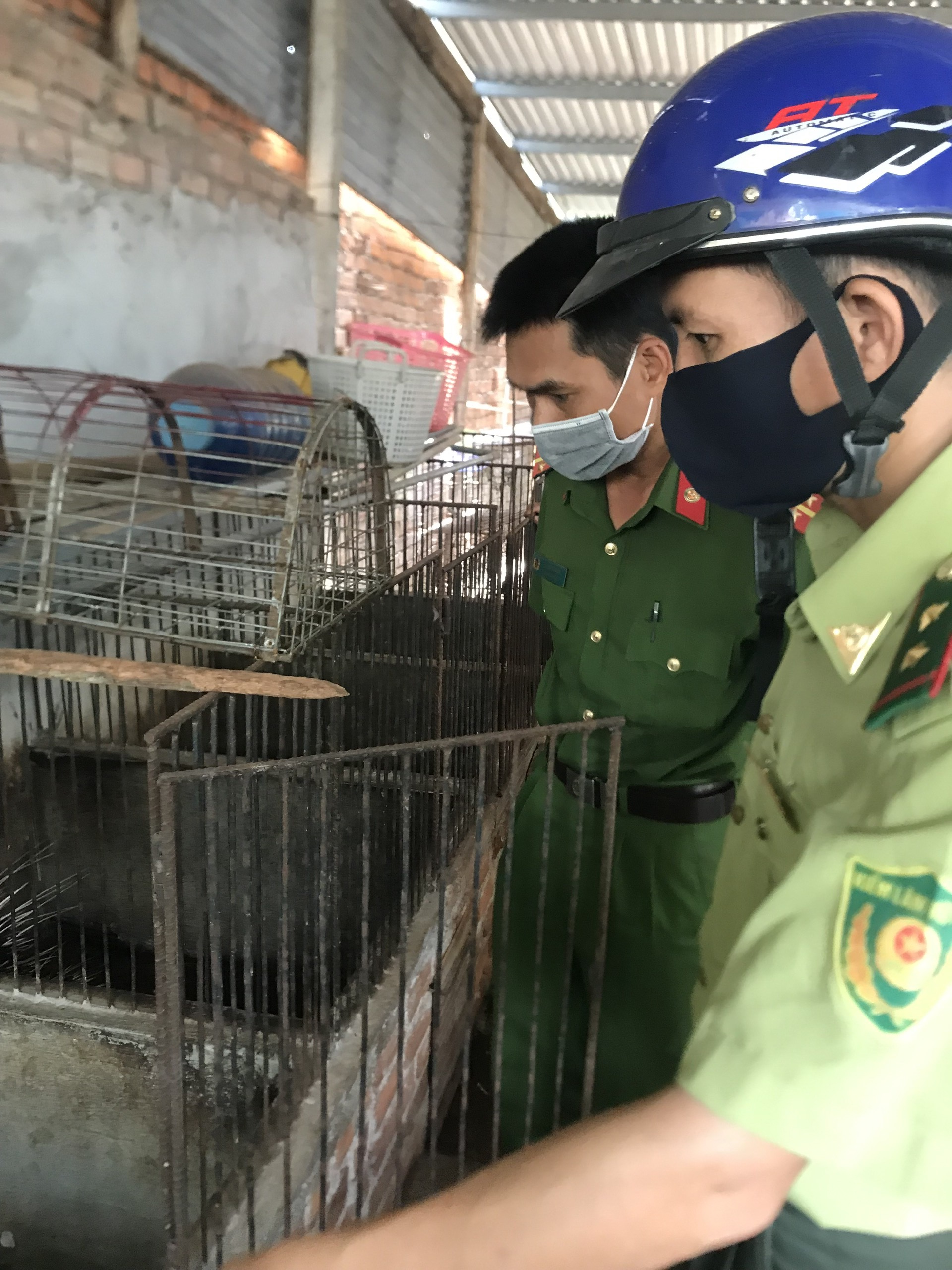 Tăng cường quản lý các cơ sở gây nuôi động vật hoang dã 